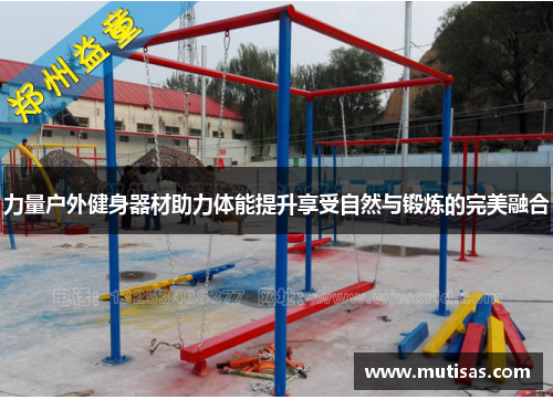 力量户外健身器材助力体能提升享受自然与锻炼的完美融合