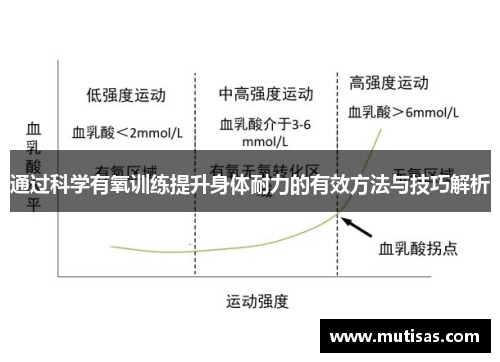 通过科学有氧训练提升身体耐力的有效方法与技巧解析