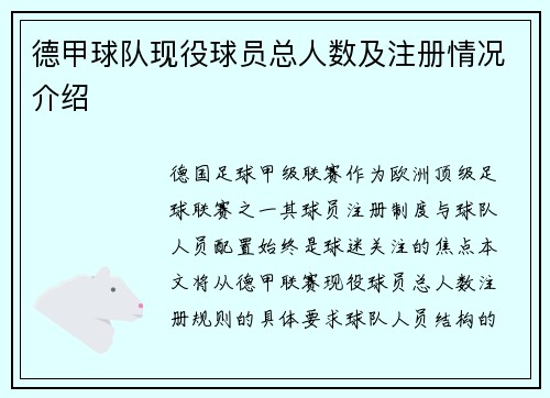 德甲球队现役球员总人数及注册情况介绍